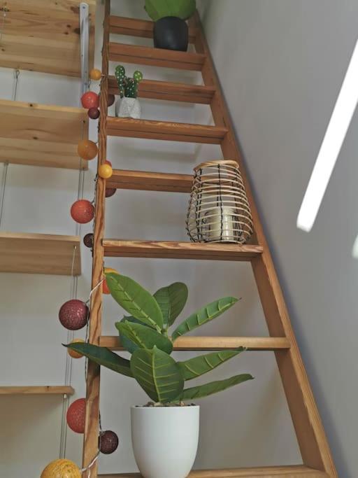 The Duplex Annecy Tgv; Vielle Ville Экстерьер фото
