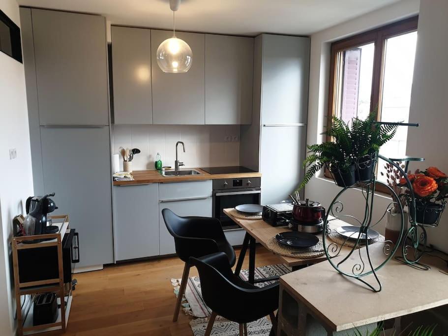 The Duplex Annecy Tgv; Vielle Ville Экстерьер фото